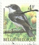 Stamps : Europe : Belgium :  SERIE PÁJAROS, DE ANDRÉ BUZIN. PAPAMOSCAS CERROJILLO, Ficedula hypoleuca. YVERT BE 2647
