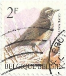 Stamps : Europe : Belgium :  SERIE PÁJAROS, DE ANDRÉ BUZIN. ZORZAL ALIRROJO, Turdus iliacus. YVERT BE 2646