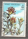 Sellos de Europa - Espa�a -  Thymus Longiflorus(1003)