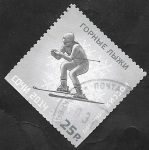 Stamps : Europe : Russia :  7343 - Olimpiadas de invierno en Sochi