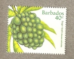 Stamps : America : Barbados :  Manzana dulce