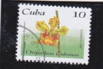 Stamps Cuba -  FLORES- ORQUIDIA CUBANA