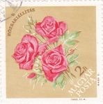 Stamps Hungary -  FLORES- ROSAS