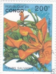 Stamps : Africa : Republic_of_the_Congo :  FLORES SALVAJES
