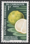 Stamps : Africa : Cameroon :  Citrus grandis