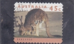 Stamps : Oceania : Australia :  C A N G U R O 