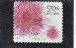 Stamps Australia -  F L O R E S- SWAMP  DAISY