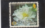 Stamps United Kingdom -  F L O R E S- CLEMATIS ARCTIC QUEEN