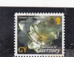 Stamps United Kingdom -  F L O R E S- CLEMATIS GUERNSEY CREAM