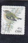 Stamps Ireland -  A V E -