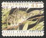 Stamps Australia -  Little Pygmy Possum