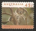 Sellos de Oceania - Australia -  Koala