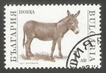 Stamps Bulgaria -  Donkey (Equus asinus asinus)