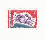 Stamps Africa - Djibouti -  NEPTUNUS VALIDUS