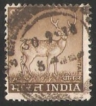 Sellos de Asia - India -  Chital