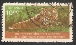 Sellos de Asia - India -  Tiger