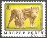 Stamps Hungary -  Sus Scrofa