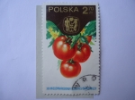 Stamps Poland -  Tomates - XIX Miedzvnarodowy Rongres Ogrodniczy.