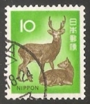 Stamps : Asia : Japan :  Ciervo