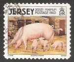 Stamps United Kingdom -  Domestic Pig