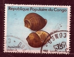 Stamps Democratic Republic of the Congo -  caracola