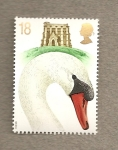 Stamps United Kingdom -  Cisnes