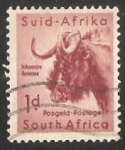 Stamps : Africa : South_Africa :  Black Wildebeest 
