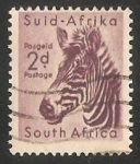 Sellos de Africa - Sud�frica -  Mountain Zebra