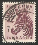 Sellos de Africa - Sud�frica -  Mountain Zebra