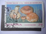 Stamps Spain -  Ed:3282 - Hongo - Niscalo (L.Deliciosus.