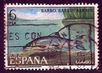 Stamps Spain -  barbo  (pez)