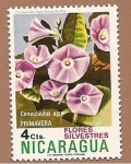 Stamps Nicaragua -  Flora - flores silvestres - Primavera