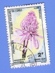 Stamps Republic of the Congo -  PHAEDMERIA
