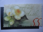 Stamps Germany -  S/Ale:2294 - 