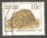 Stamps South Africa -  Psammobates Geometricus