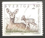 Stamps : Europe : Sweden :  Radjur Capreolus capreolus