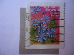Stamps South Africa -  Sewula