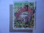 Stamps : Africa : South_Africa :  S/Sudáfrica: 479 - Protea Cynaroides.