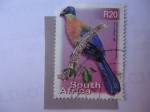 Sellos de Africa - Sud�frica -  Purple-Crested Turaco (Turaco Porphyreolophus)- South África - 