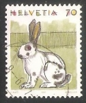 Sellos del Mundo : Europa : Suiza : Domestic Rabbit