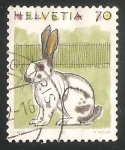 Sellos de Europa - Suiza -  Domestic Rabbit