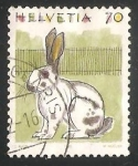 Sellos del Mundo : Europa : Suiza : Domestic Rabbit