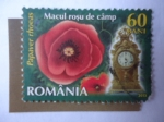 Stamps Romania -  Rosa-