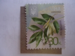 Stamps Ukraine -  Ukraina. 2012