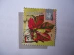 Stamps : Europe : Ukraine :  Ukraina - Rosas.