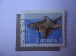 Sellos del Mundo : America : Canad : S/Canadá:1155 - Ardilla Voladora-