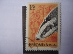 Stamps Romania -  Cazador.