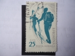 Stamps Romania -  Esquí.