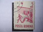 Stamps : Europe : Romania :  campionatele Europene de Volei 1963.