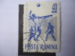 Sellos de Europa - Rumania -  Campionatele Europene de Volei 1963.